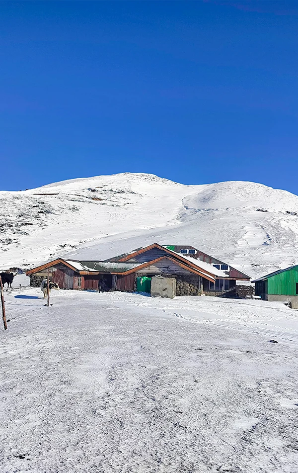 Sandakphu Trek